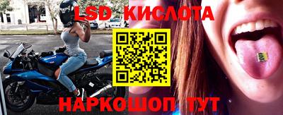 эйфоретик Гусь-Хрустальный