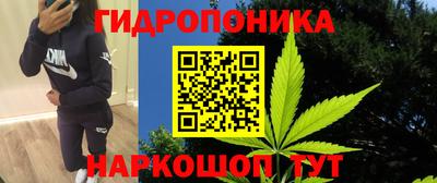 эйфоретик Гусь-Хрустальный