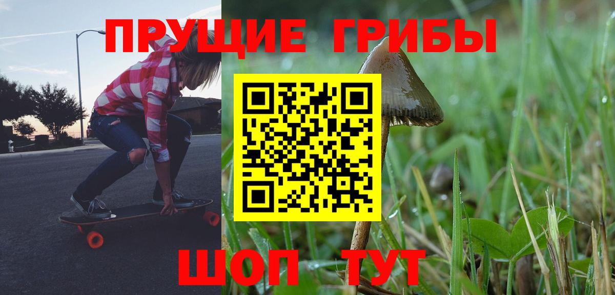 Галлюциногенные грибы Psilocybine cubensis Каменка