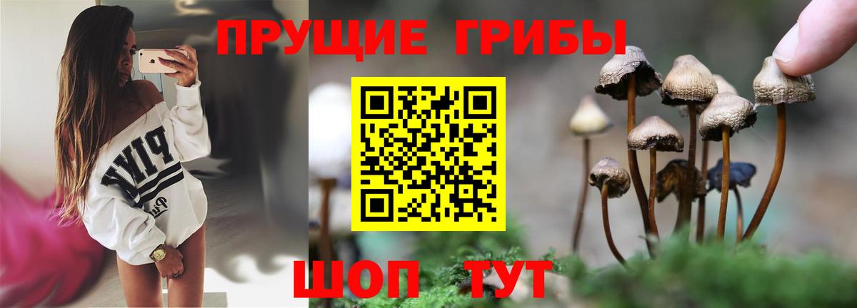 Галлюциногенные грибы прущие грибы  Вход с VPN  наркотики  Каменка  Псилоцибиновые грибы MAGIC MUSHROOMS 